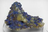 Vivid-Blue Azurite Encrusted Quartz Crystals - China #213833-1